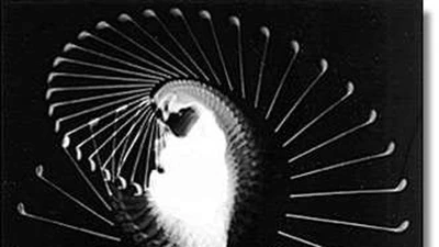 Chapitre 1 :  Comment décrire un mouvement ? featured image