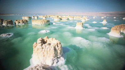 Chapitre 6 : Dissoudre ou mélanger ? featured image