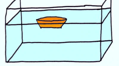 De la physique en Maternelle featured image